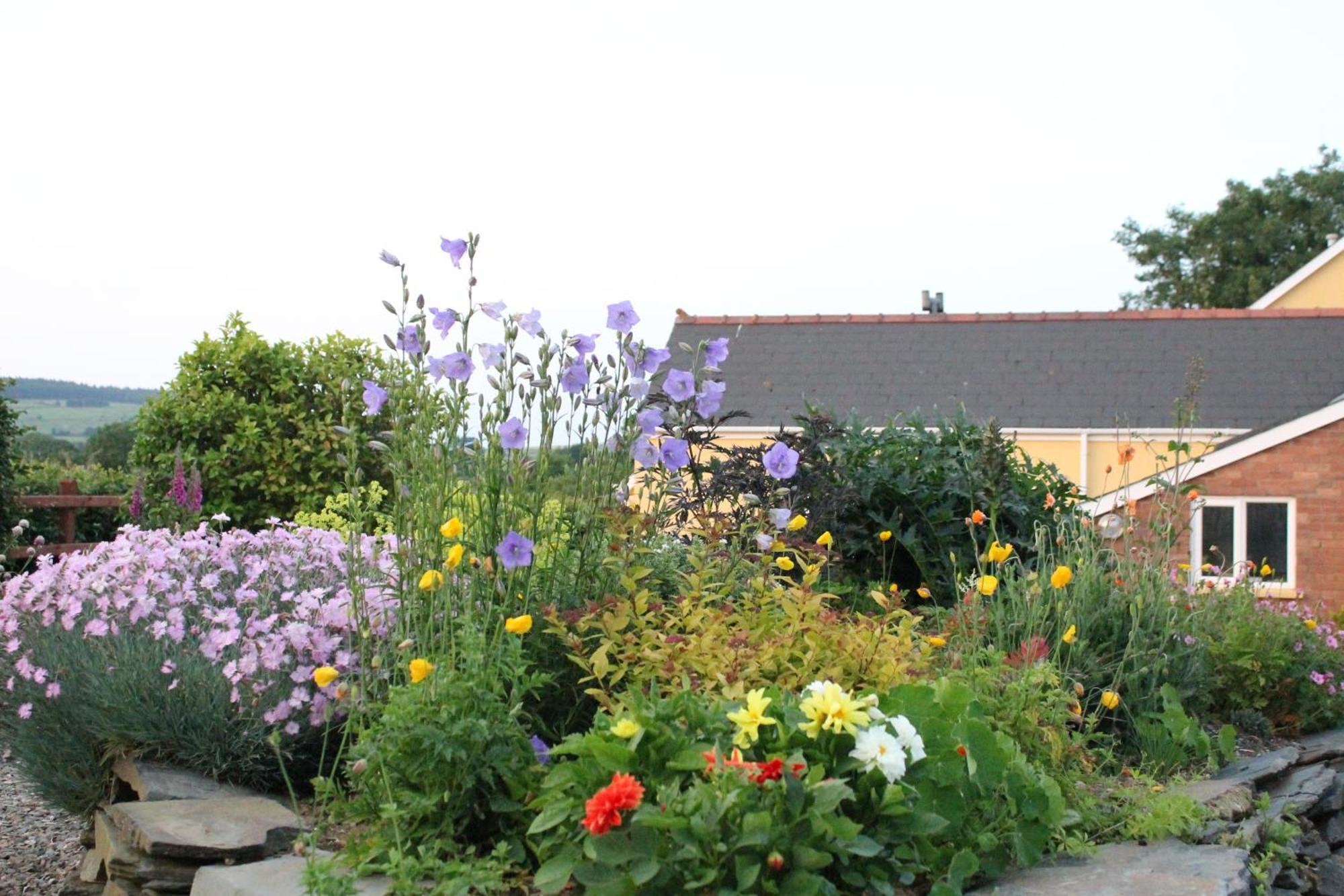 Brynhaul Bed And Breakfast Maenclochog 외부 사진