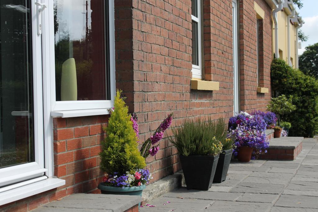 Brynhaul Bed And Breakfast Maenclochog 외부 사진