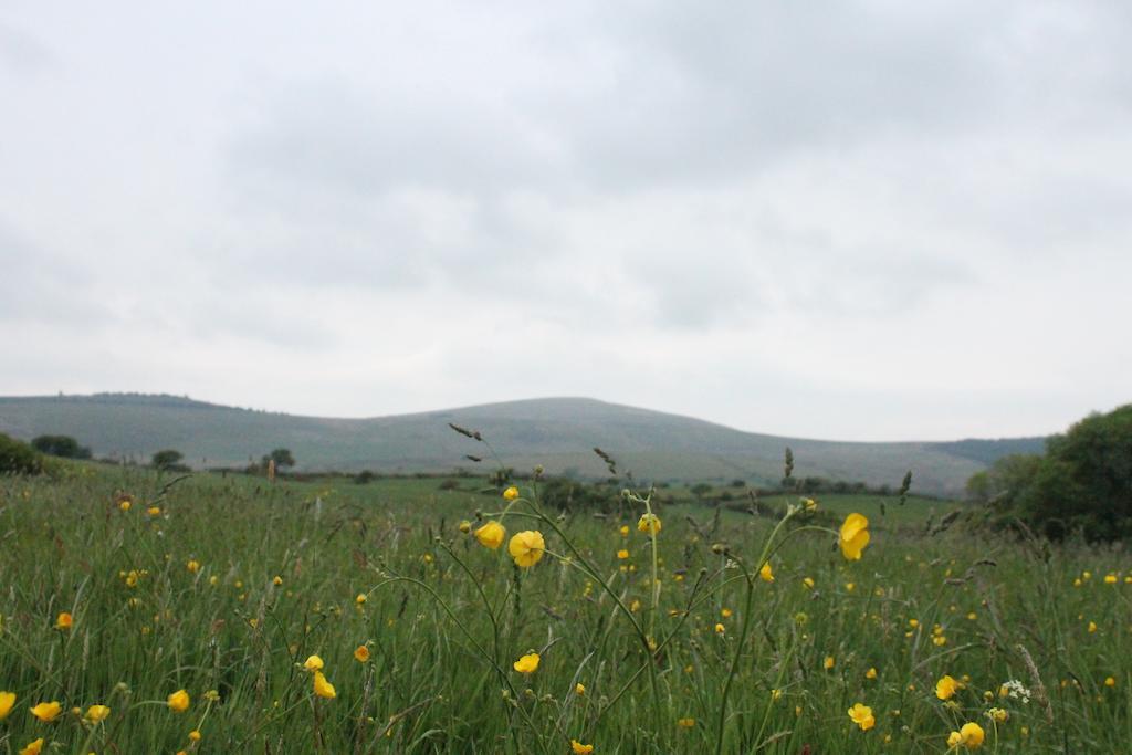 Brynhaul Bed And Breakfast Maenclochog 외부 사진