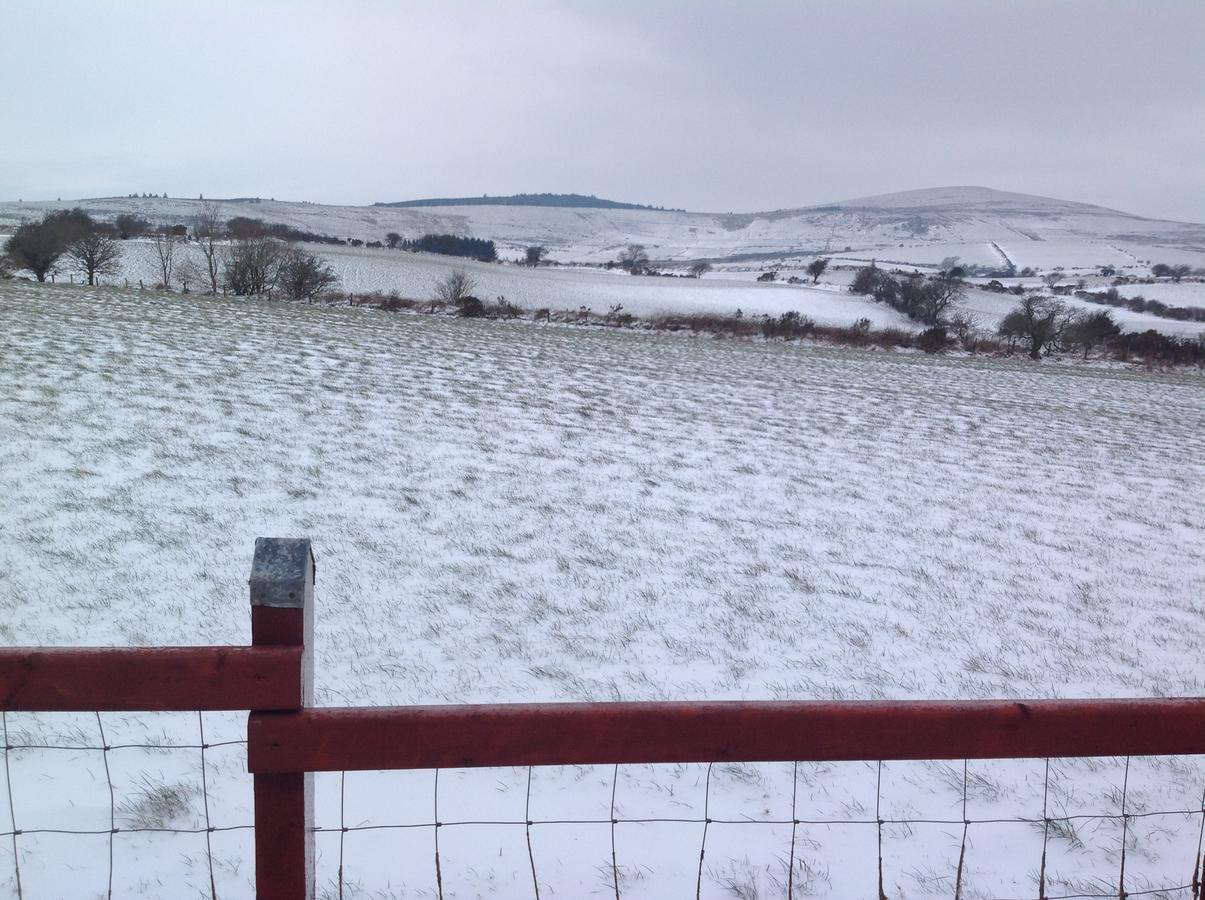 Brynhaul Bed And Breakfast Maenclochog 외부 사진